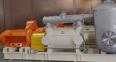 Flo-Max Air control vacuum pumps