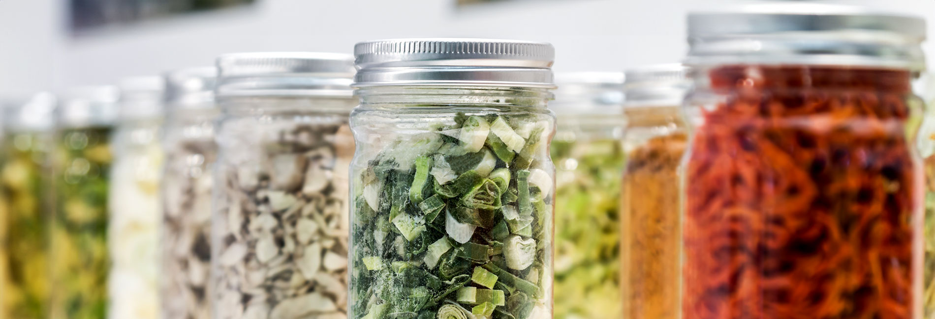 Can A Freeze-Dry Machine For Your Home Save You Money in the Long Run?