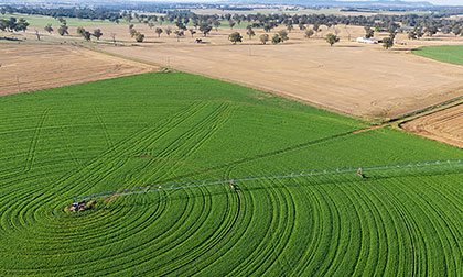 recycled water for irrigation