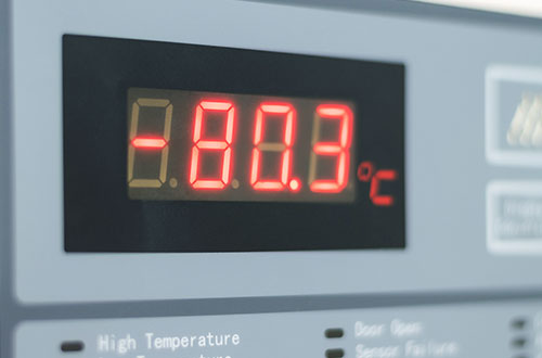 ultra low temperature laboratory freezer Australia