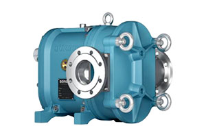 boerger rotary lobe pump