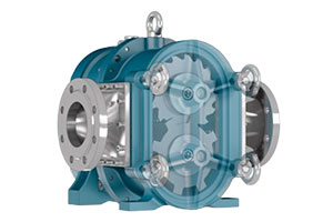 borger macerator multicrusher pump